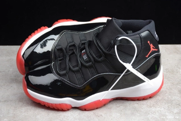 Rep Jordan Air Bred(2019) 378037-061 11 0721